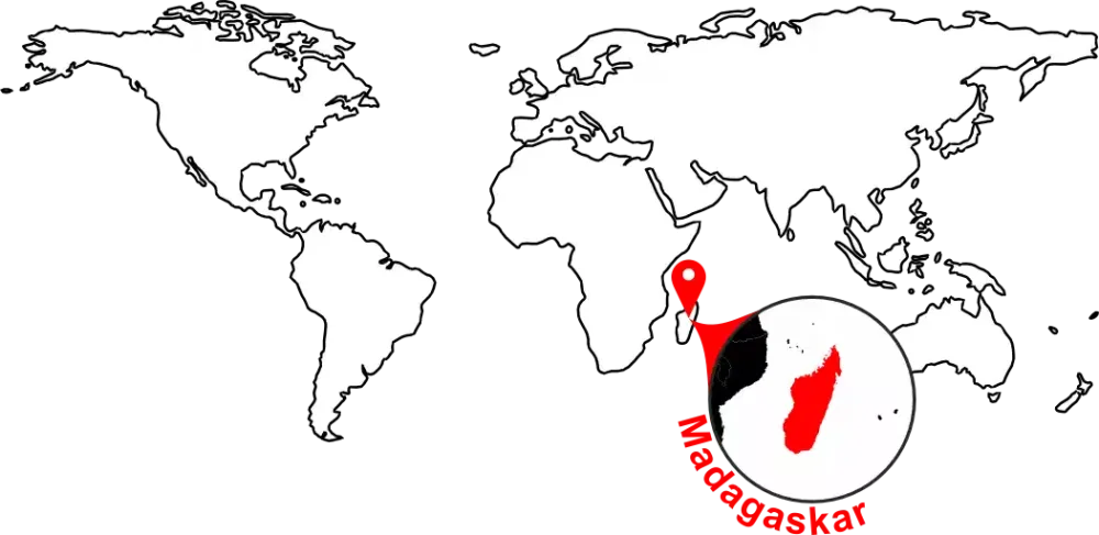 Mapa ostrova Madagaskar s vyznačením oblastí sběru divokého pepře v džungli