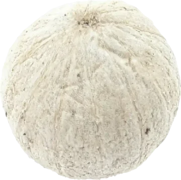 Detailní pohled na zrna bílého pepře Penja – prémiová kvalita z Kamerunu