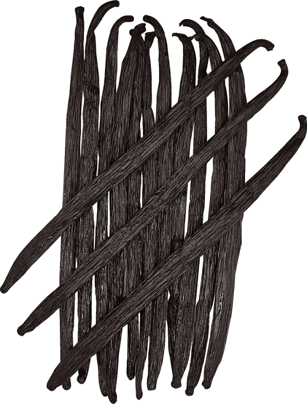 Vanilkový lusk | Třída -A | 16 cm