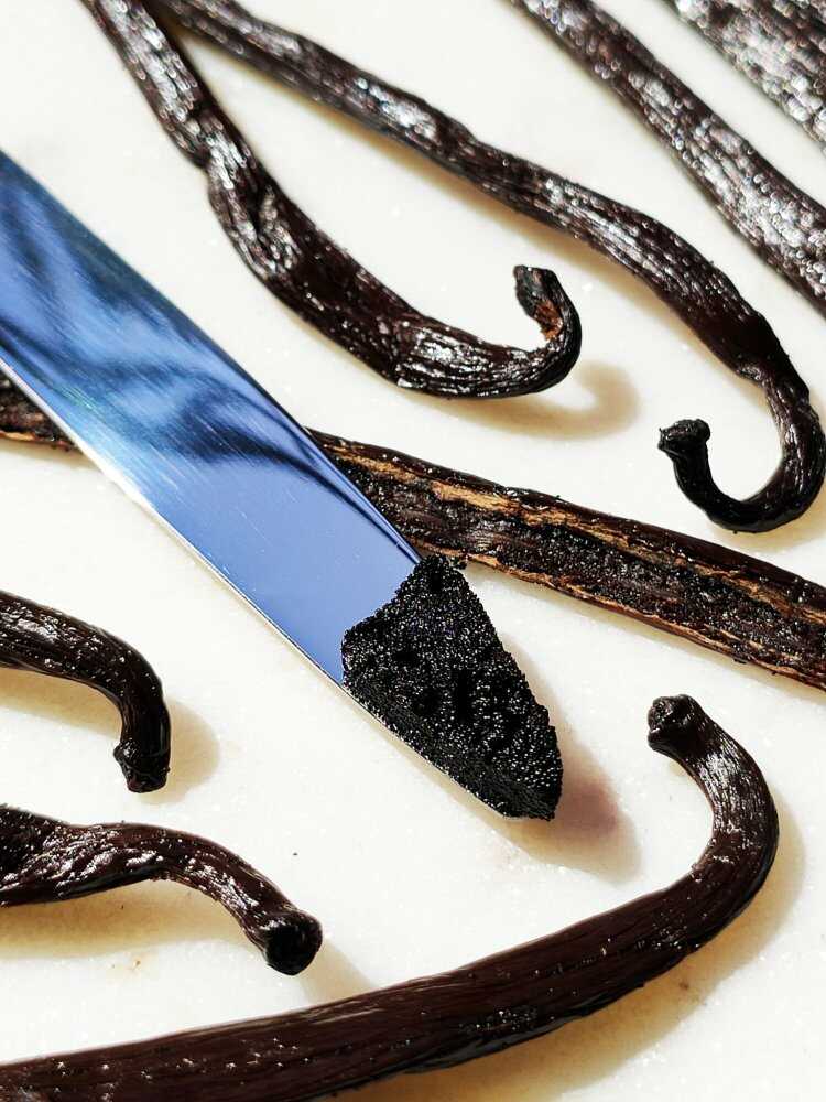Semínka čerstvě rozřízlého vanilkového lusku
