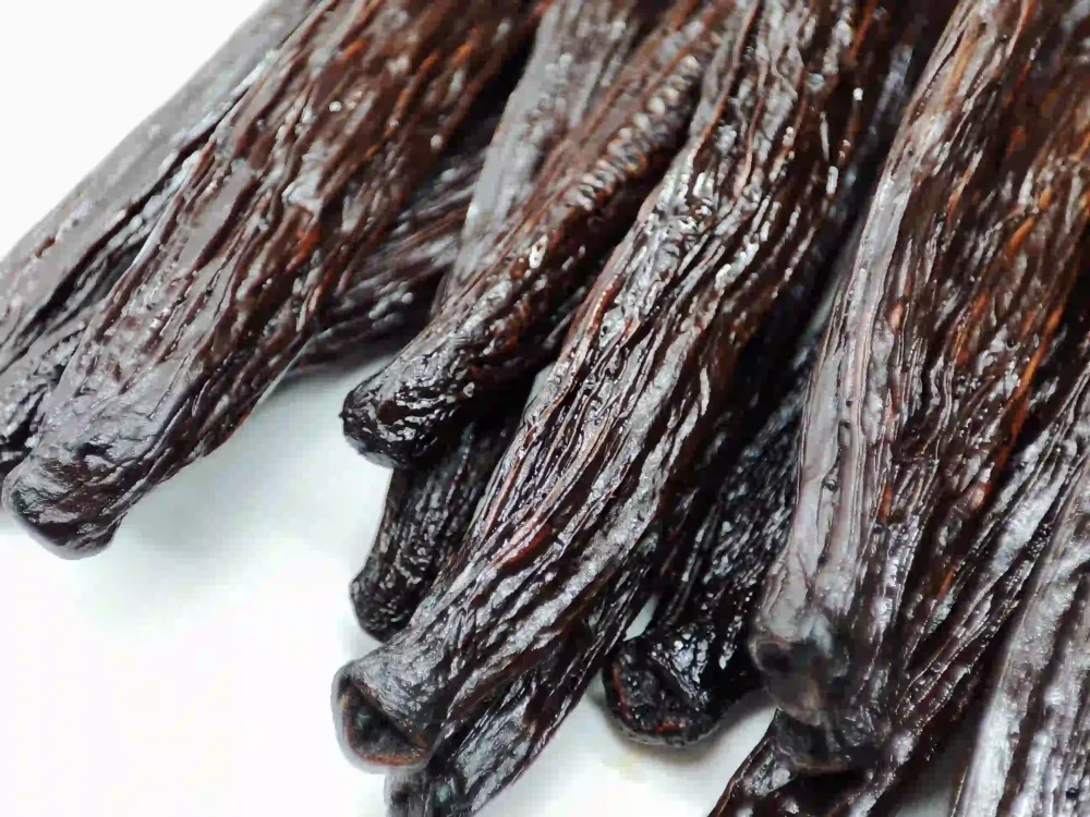 Detailní pohled na čerstvé a olejnaté výběrové vanilkové lusky – standard kvality Pravá Chuť